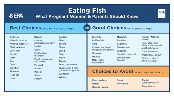 Fish During Pregnancy Chart