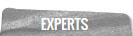 Experts Tab