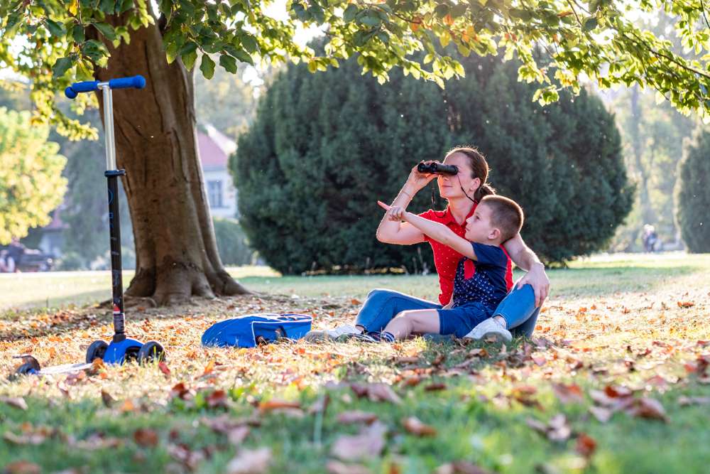 bird watching kids