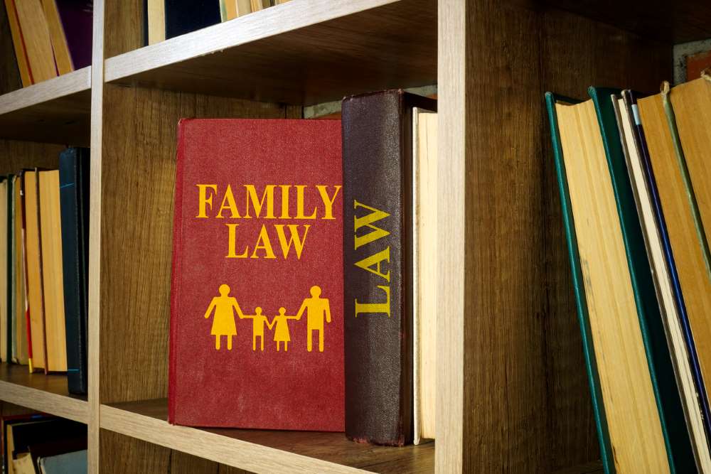 child custody california family law