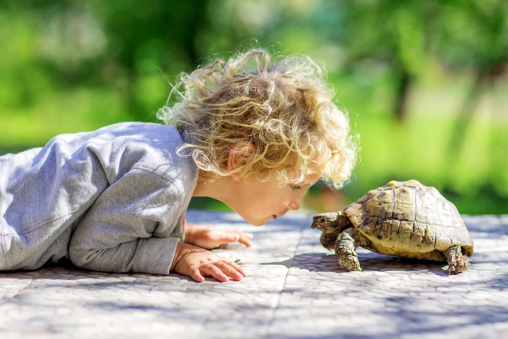 child with turtle pet