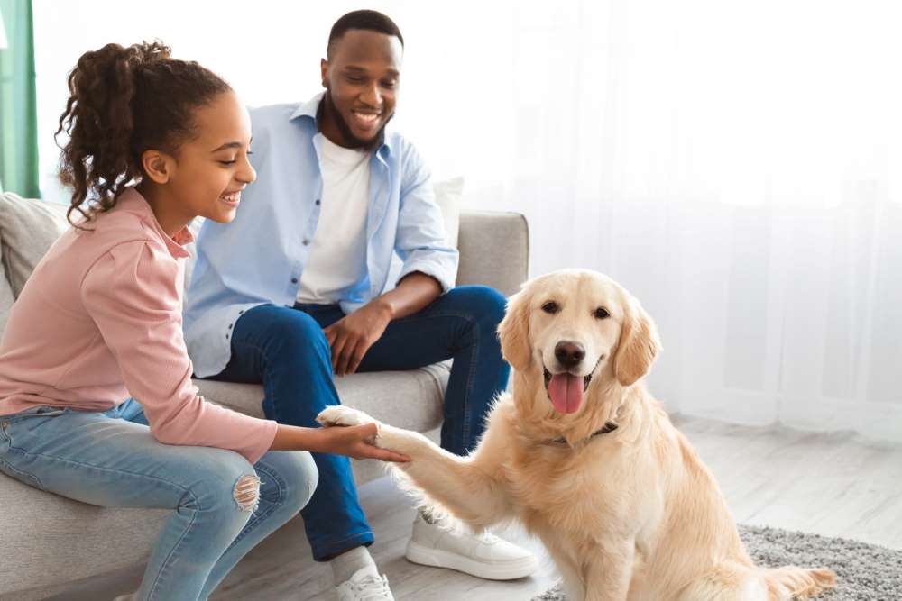 best dog for kids