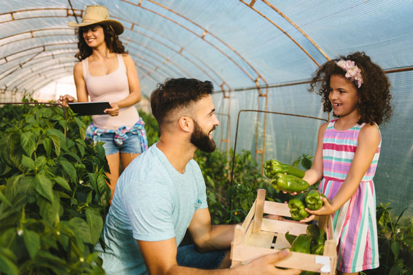 Kid-friendly Garden