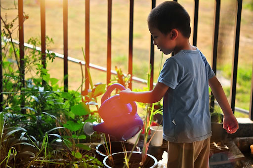 Pre-School Edible Gardens