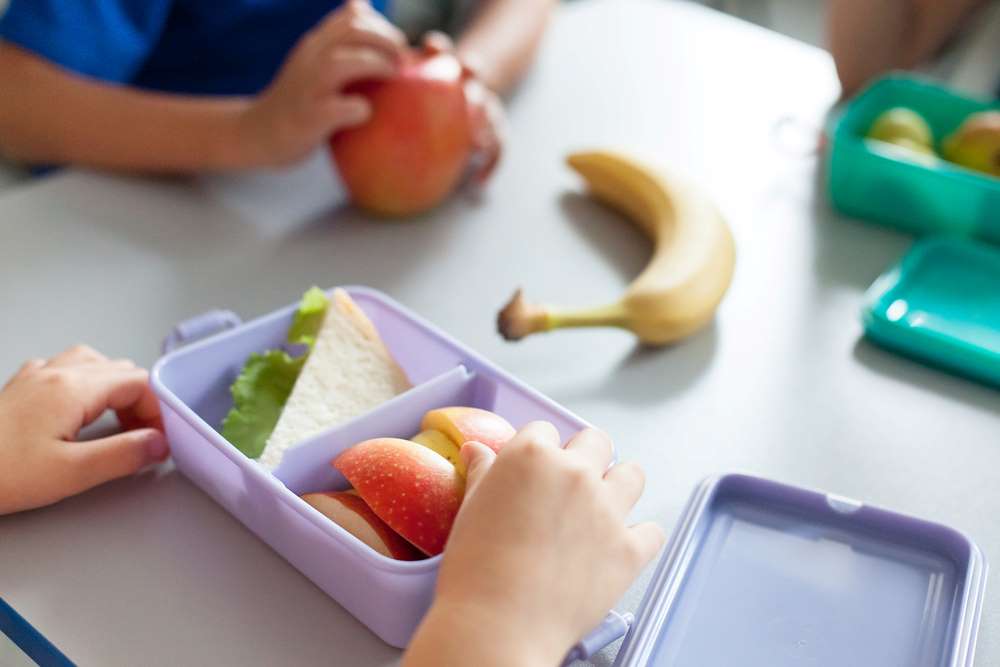 healthy school lunch for kids