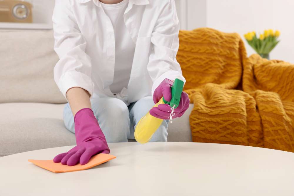 home cleaning service 2-23