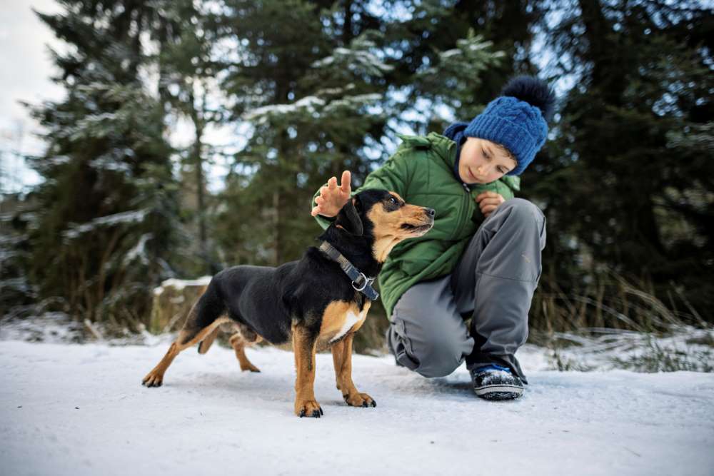 Pet Etiquette 101