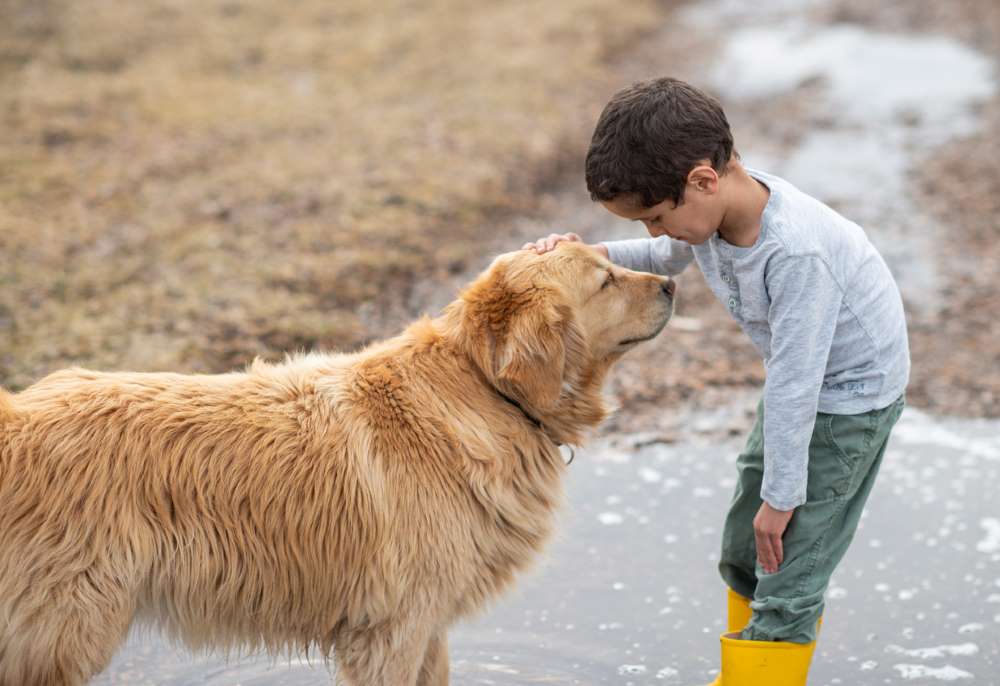 Respect Towards Animals