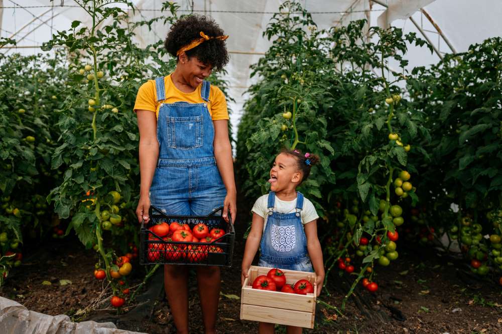 kids responsibilities