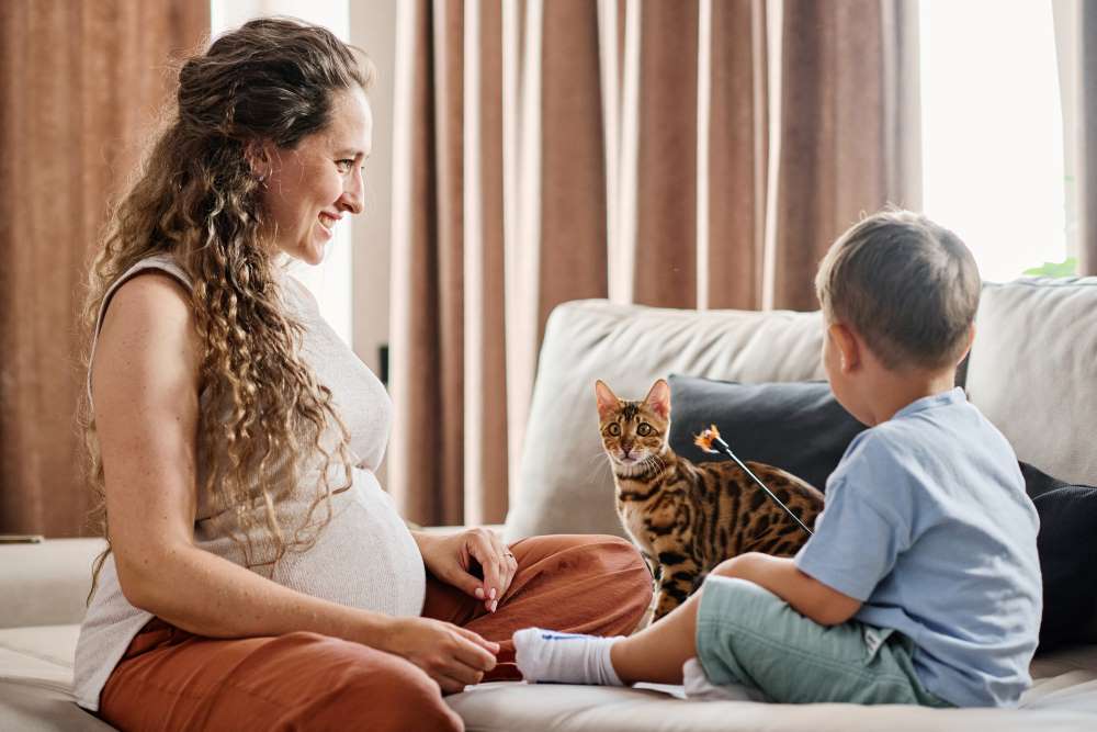 Cats and Pregnancy What You Need to Know Kids in the House