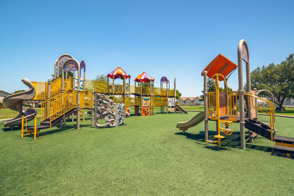 5 of the Best Places in California to Raise a Family Kids in the House