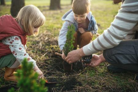 kids planting trees