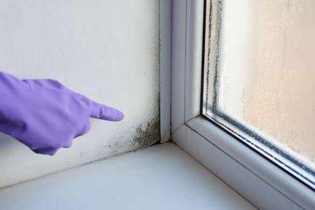 mold home affect on kids