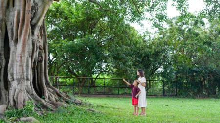 Family on A Wildlife Adventure Trip