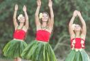 hawaian birthday party