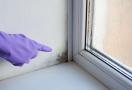 mold home affect on kids