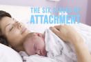 stages of attachment, attachment neufeld, attachment parenting, what is attachment parenting, Parenting Advice, attachment theory, gordon neufeld, Child, Parent, Parenting, KidsintheHouseTV, Parents, facebook parenting video, Parenting Tips, Kids In The House, attachment, family, bonding, child development, relationships, education, conscious parenting, beyond the sling, natural birth, raising children, co-sleeping