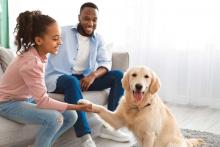 best dog for kids