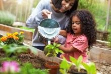 Family-Friendly Gardening Ideas