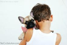 Can My Child take Care of a Pet?