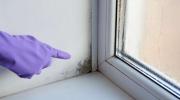 mold home affect on kids