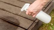 pests at home solution