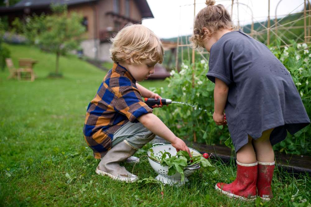 Teaching Kids sustainable living