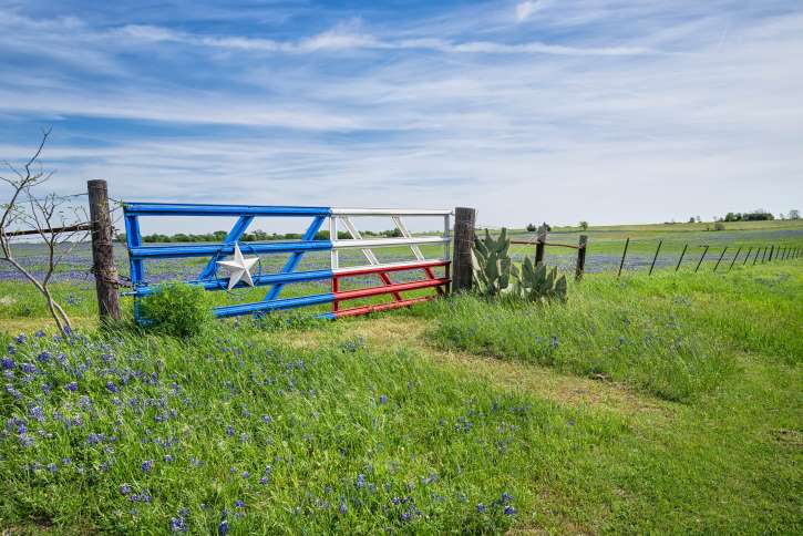 texas field