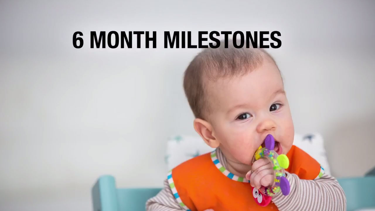 6 Month Milestones